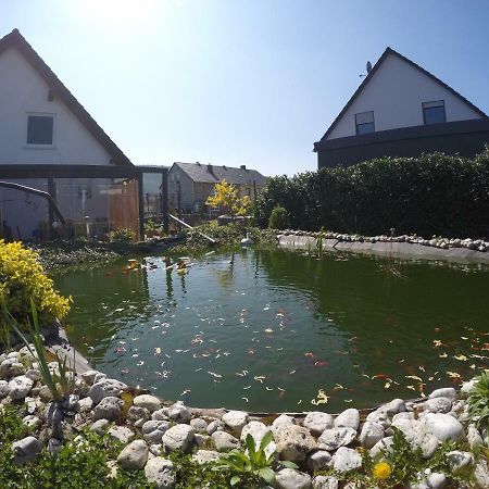Moselie Ferienwohnung Kinheim Mosel Exterior photo