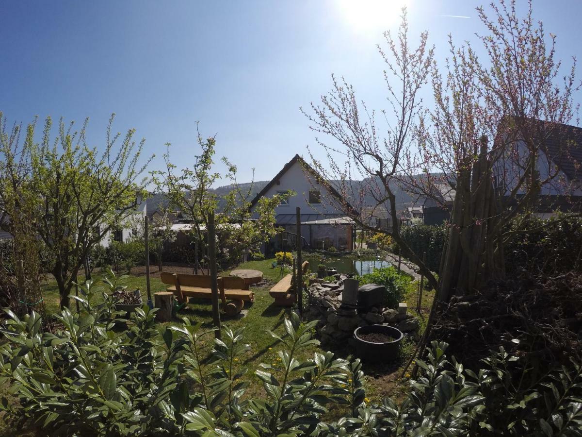 Moselie Ferienwohnung Kinheim Mosel Exterior photo